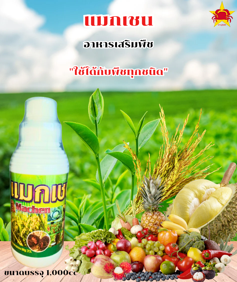 แมกเชน